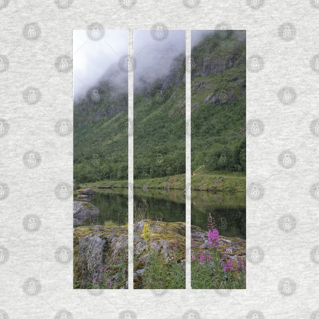 Wonderful landscapes in Norway. Senja, Nordland. Beautiful scenery of a valley with lupine flowers on the rocks. Mirror in the lake. Cloudy summer day. Fog and mountains in background (vertical) by fabbroni-art